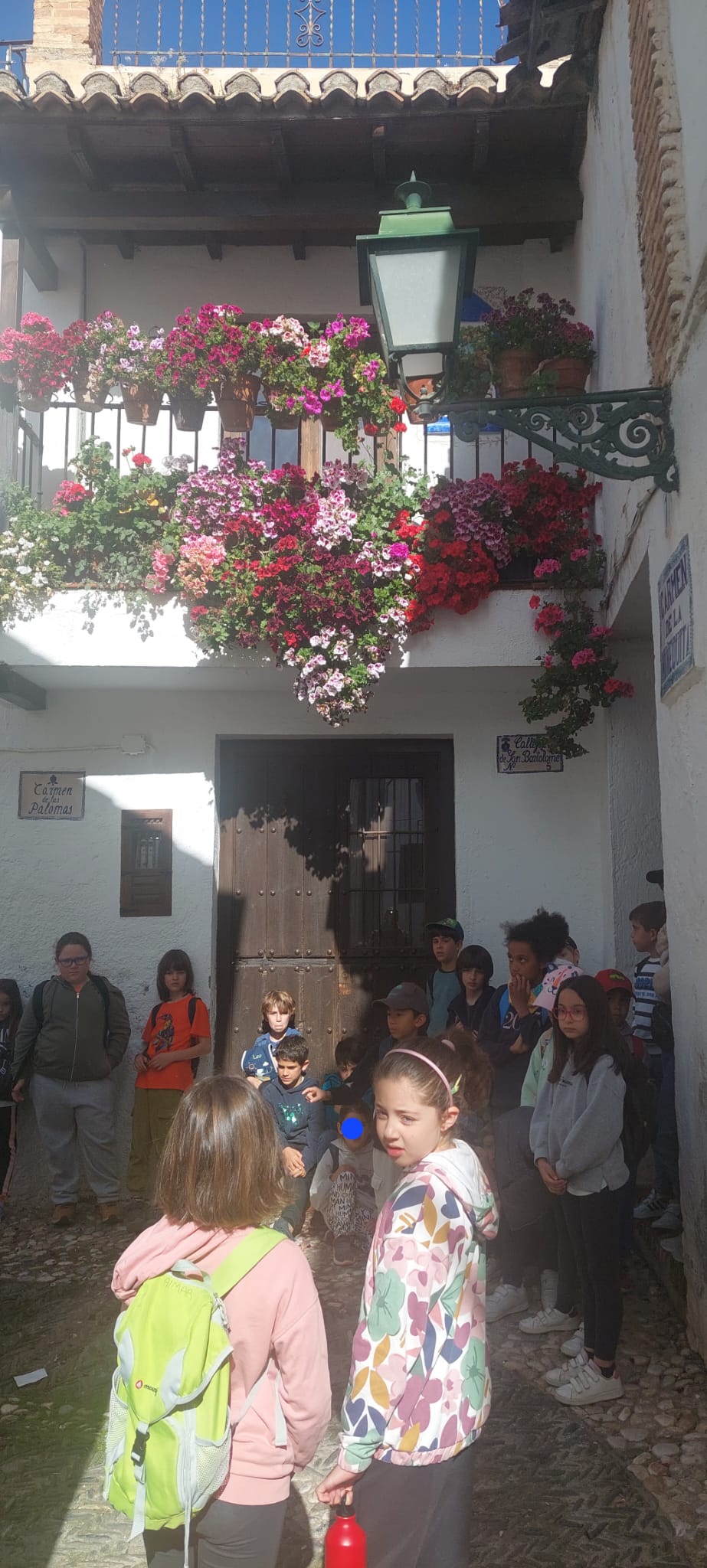 WhatsApp Image 2025-04-25 at 22.32.25 (1)