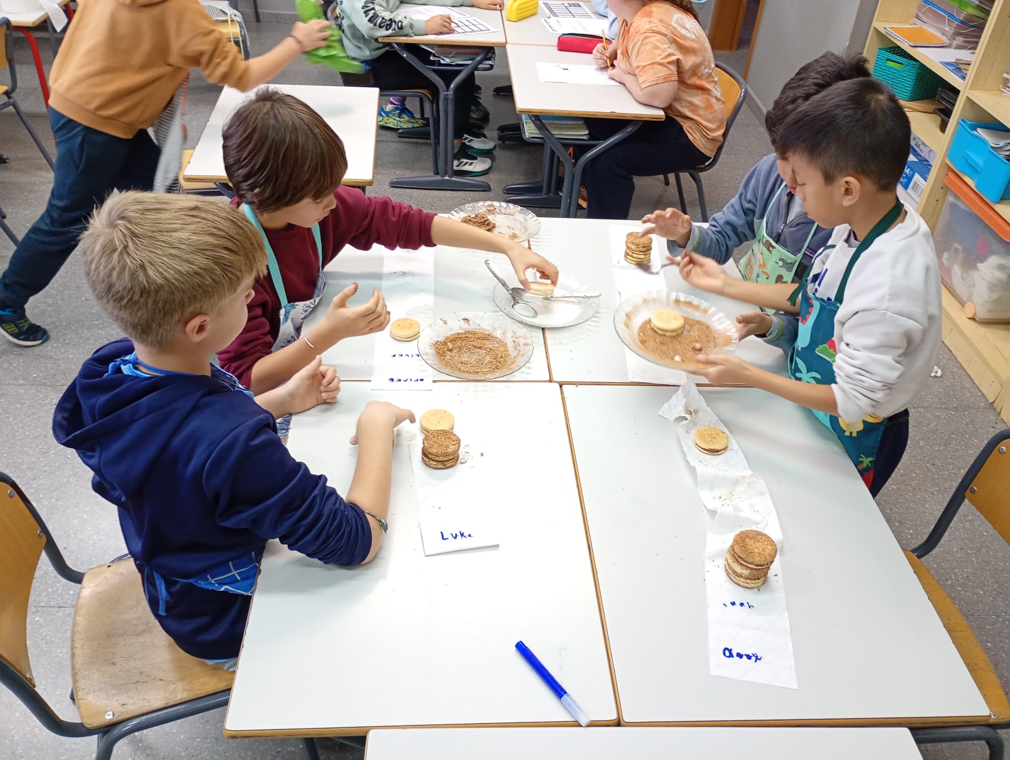 WhatsApp Image 2025-11-08 at 11.17.20