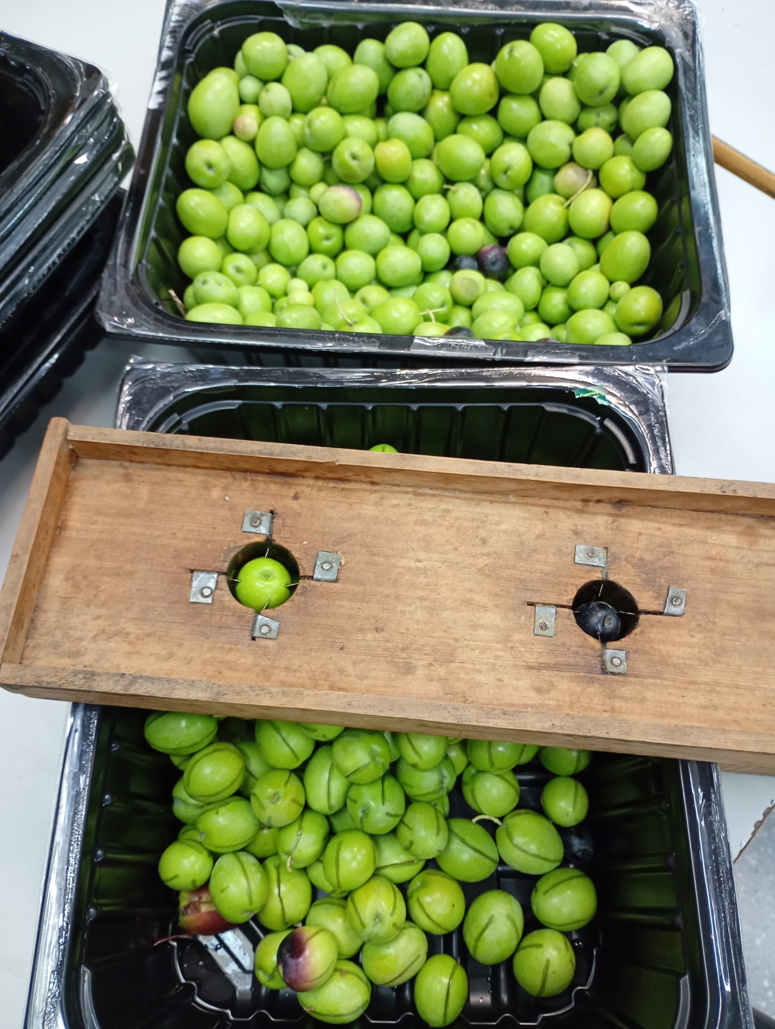 WhatsApp Image 2025-11-08 at 11.18.58 (1)