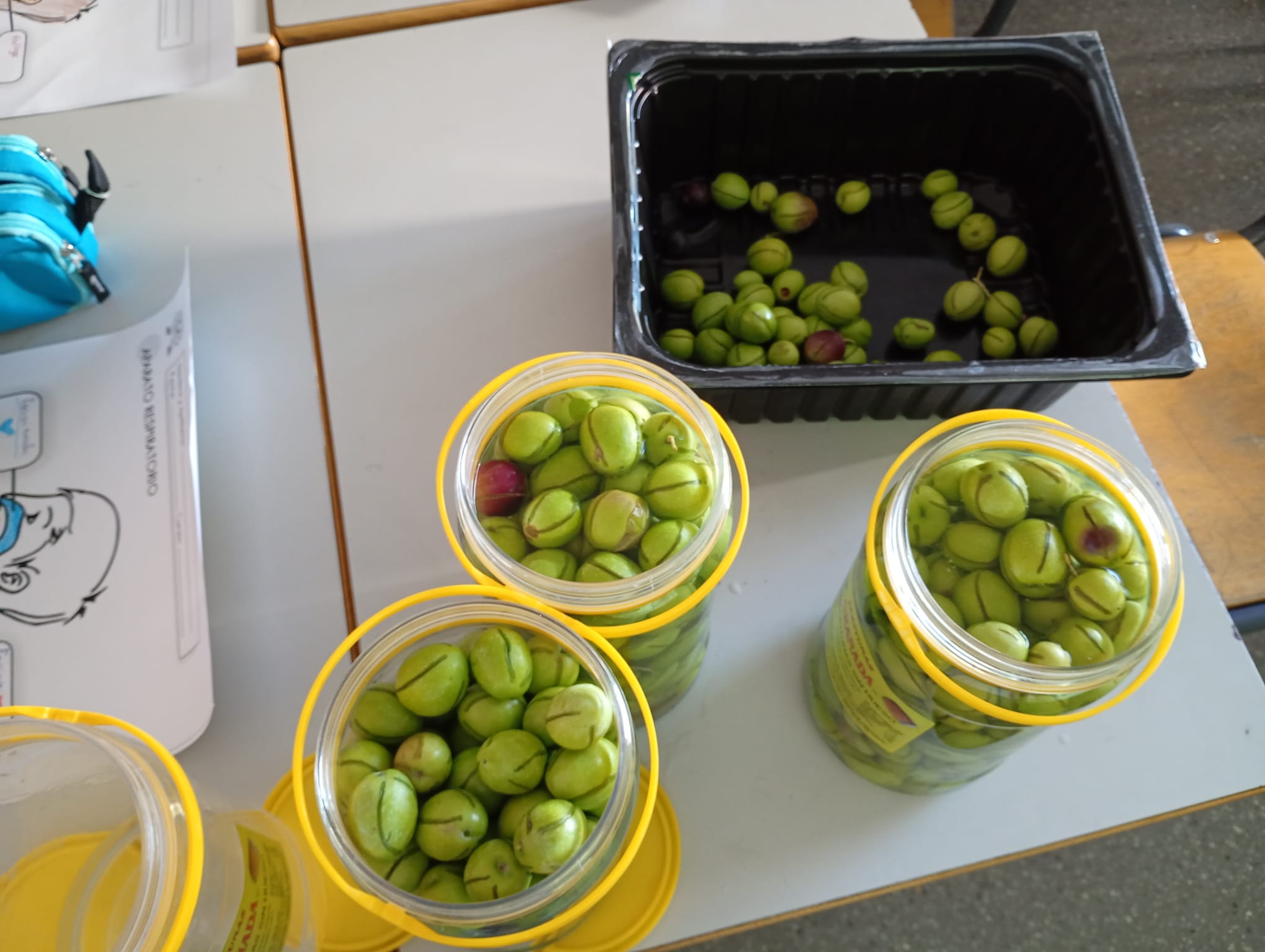 WhatsApp Image 2025-11-08 at 11.18.58