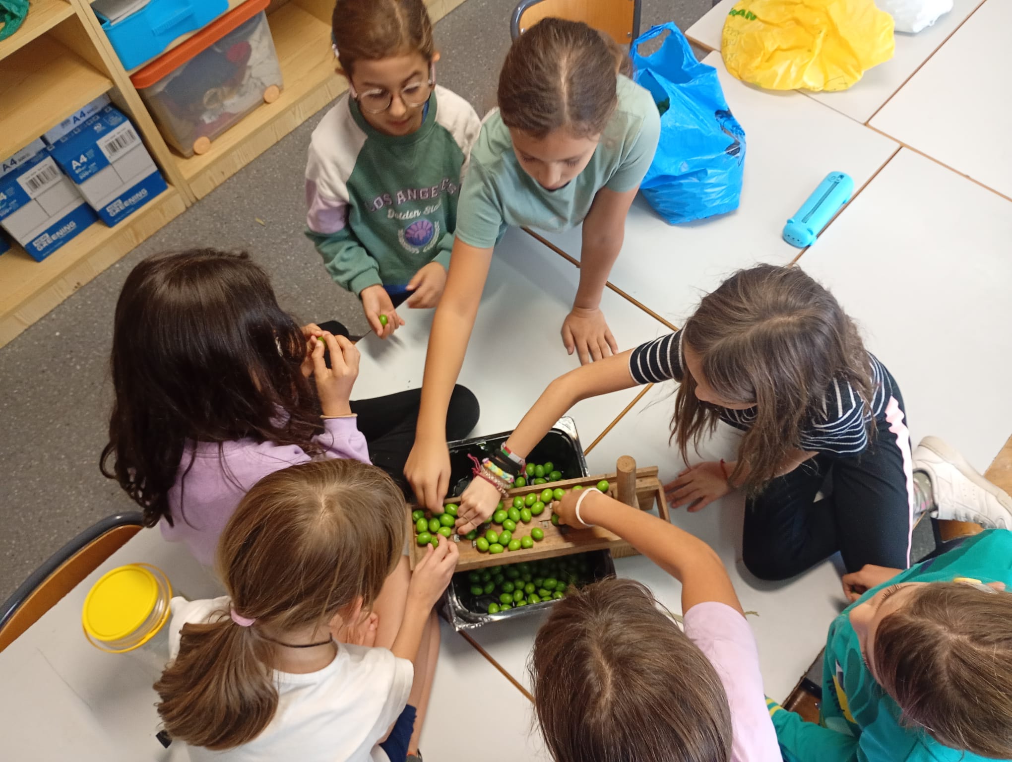 WhatsApp Image 2025-11-08 at 11.19.53