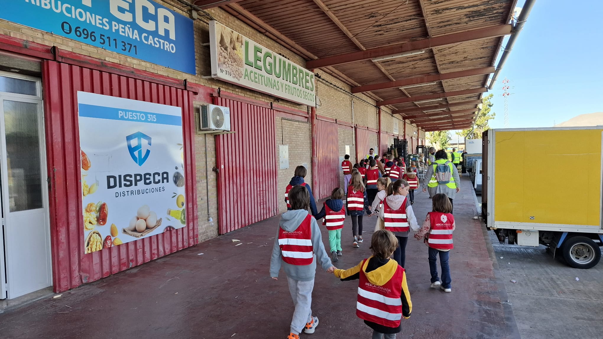 WhatsApp Image 2025-11-14 at 12.10.33 (1)