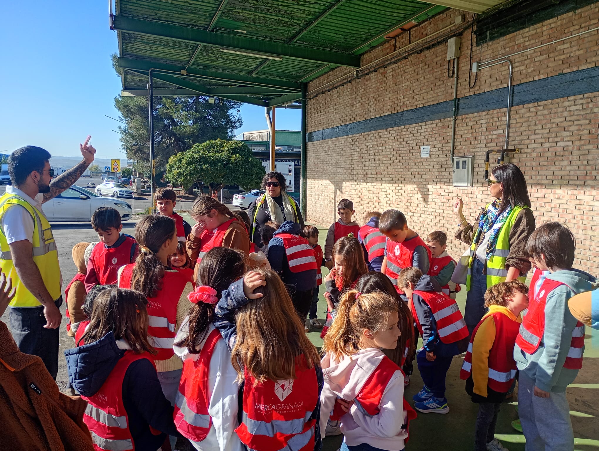 WhatsApp Image 2025-11-14 at 12.10.50 (2)