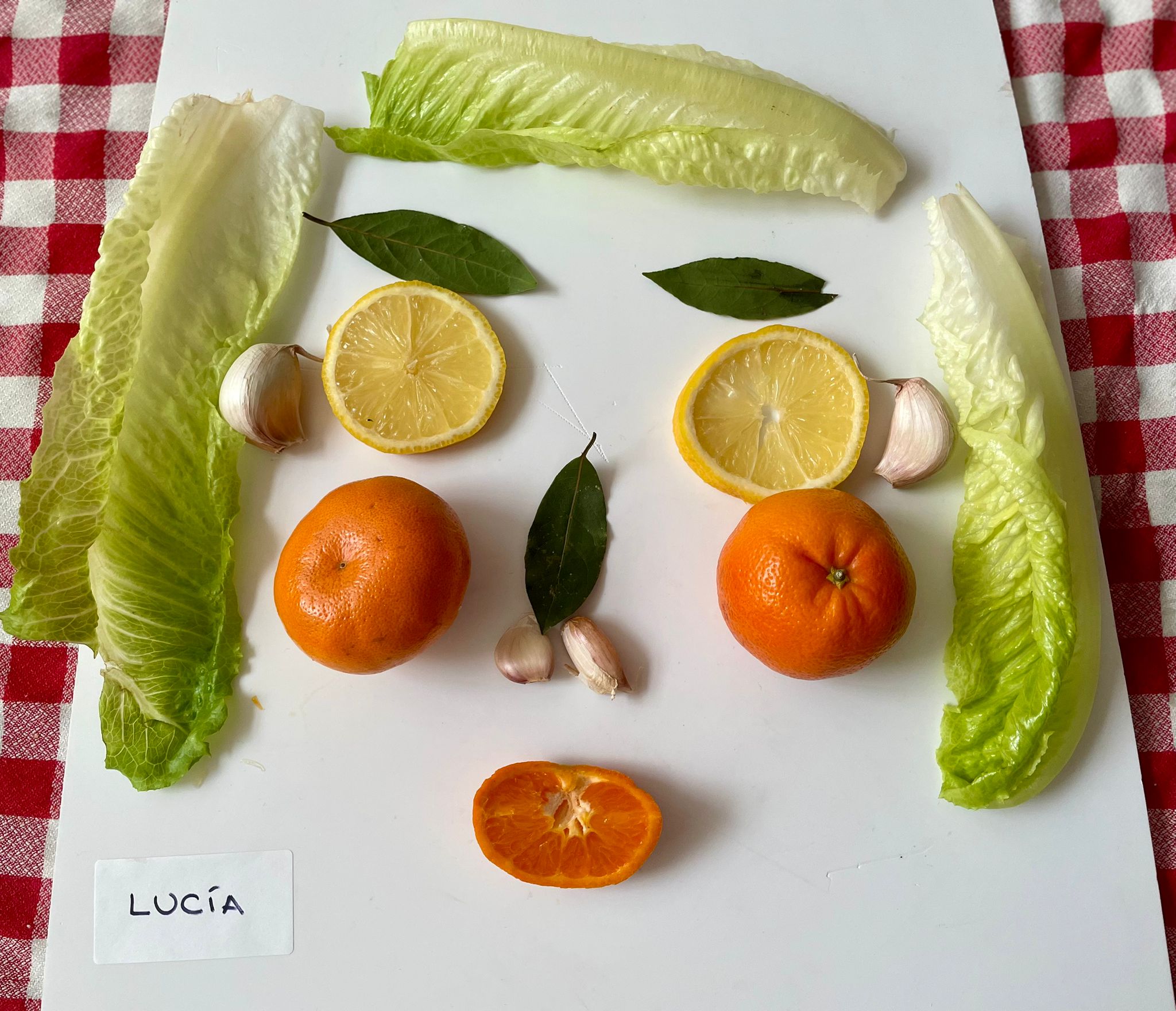 WhatsApp Image 2025-11-14 at 13.13.29 (1)