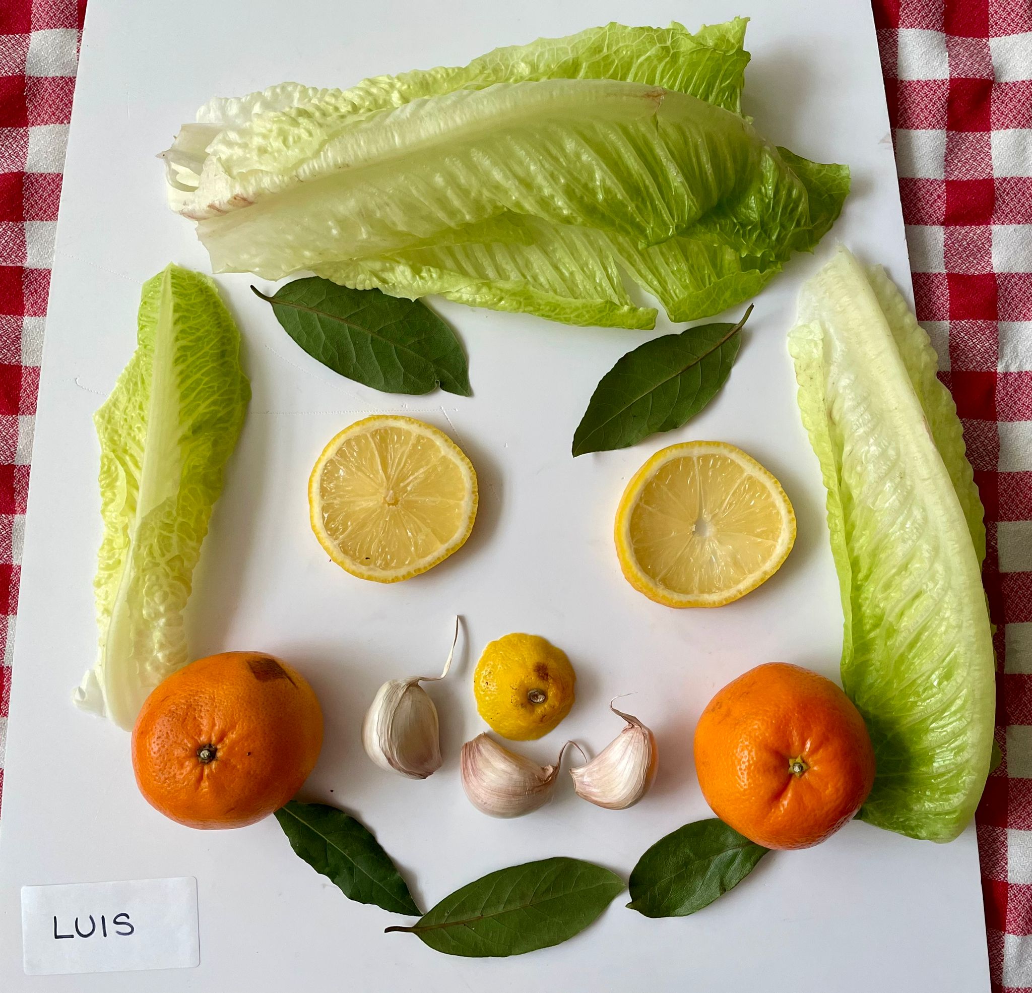 WhatsApp Image 2025-11-14 at 13.13.29 (2)