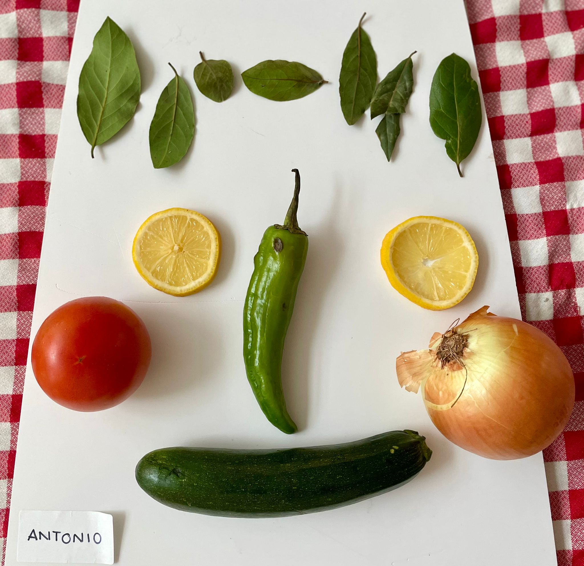 WhatsApp Image 2025-11-14 at 13.13.29