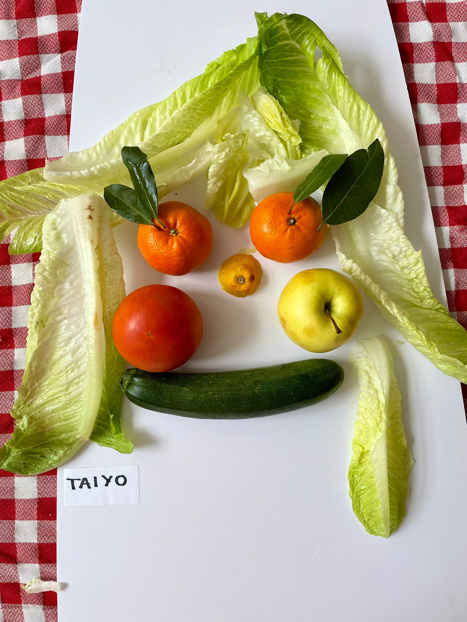 WhatsApp Image 2025-11-14 at 13.13.32