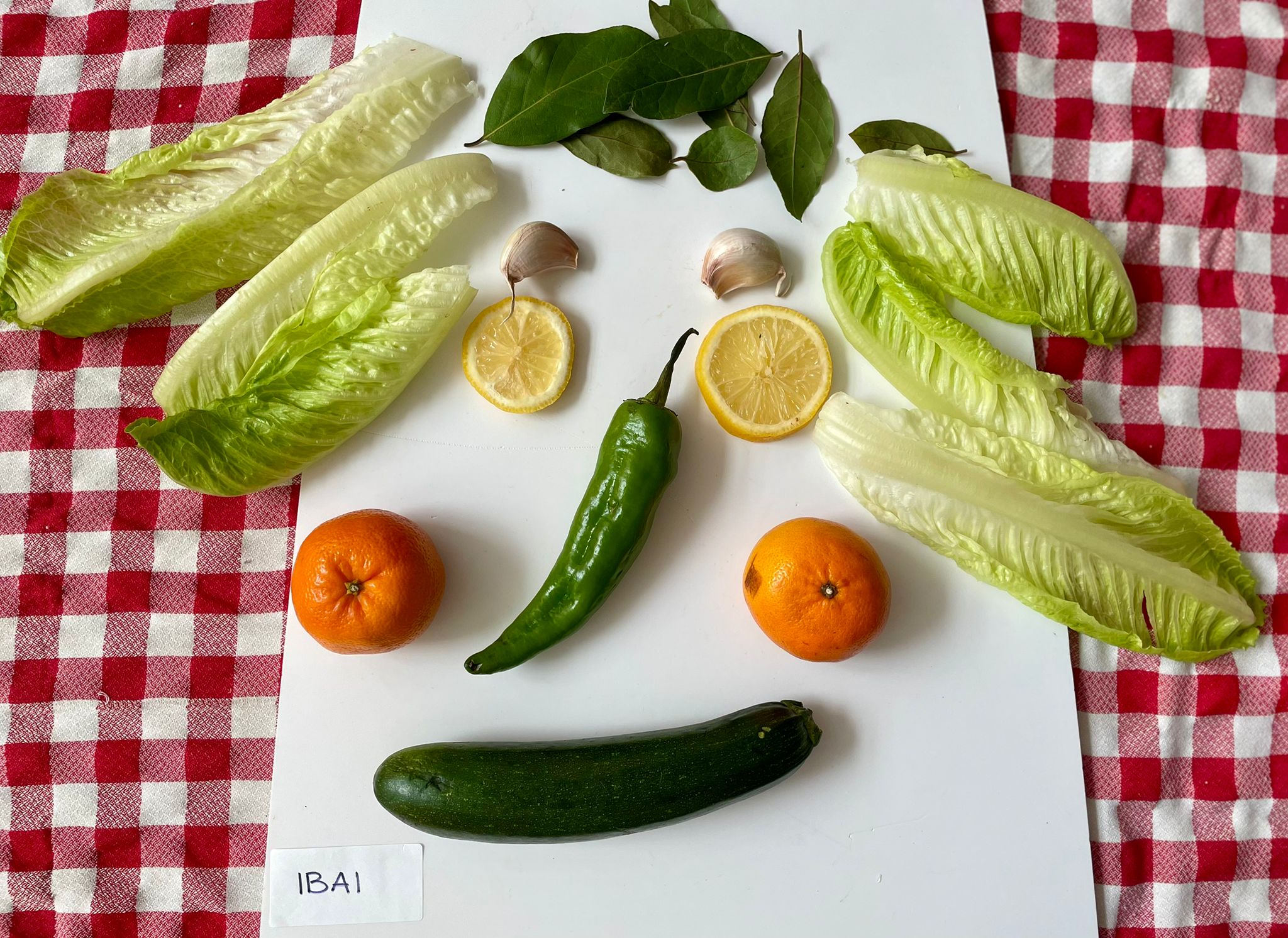 WhatsApp Image 2025-11-14 at 13.13.52