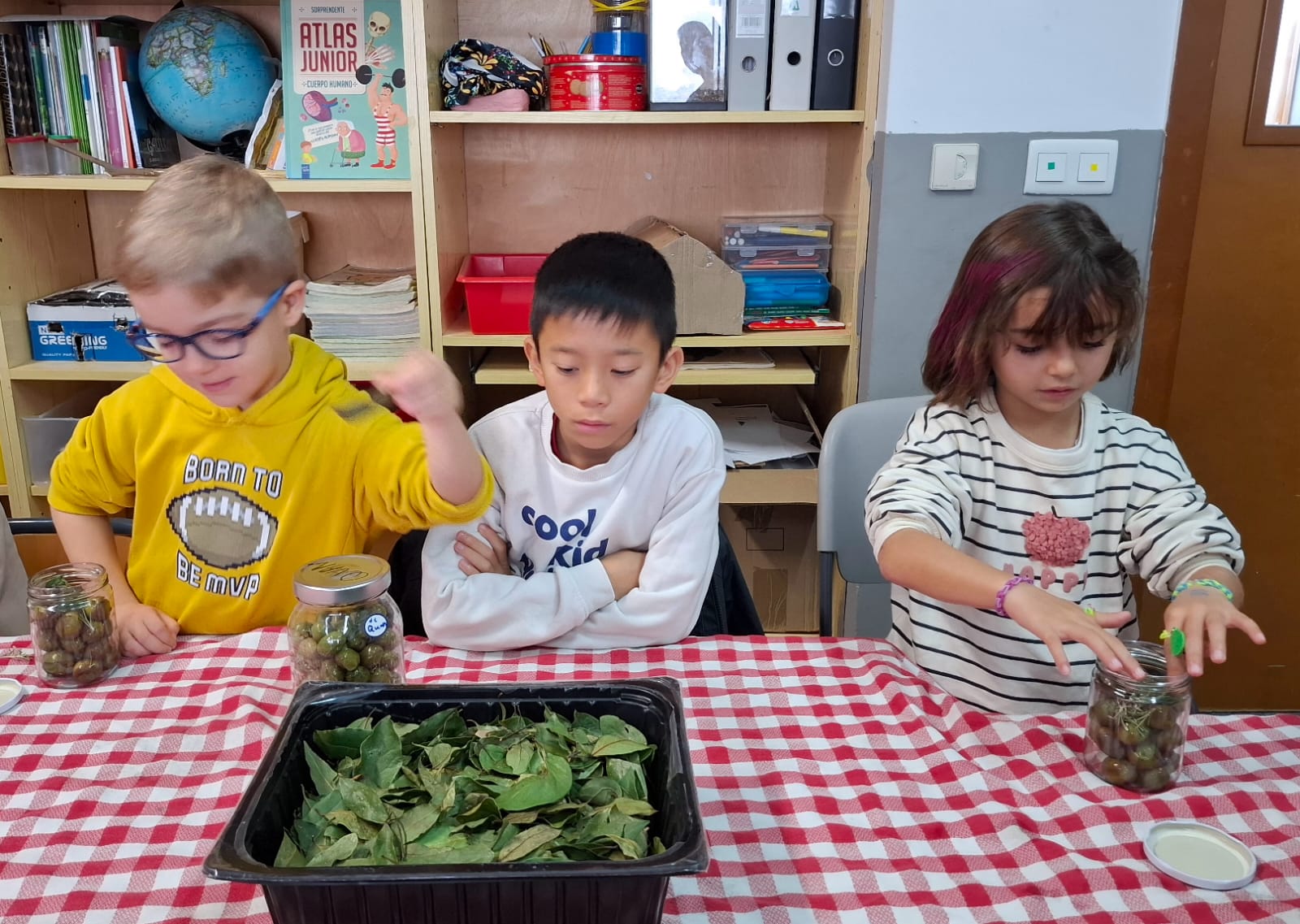 WhatsApp Image 2025-11-28 at 13.00.31 (5)