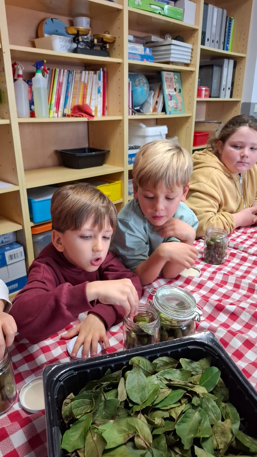 WhatsApp Image 2025-11-28 at 13.00.32 (1)