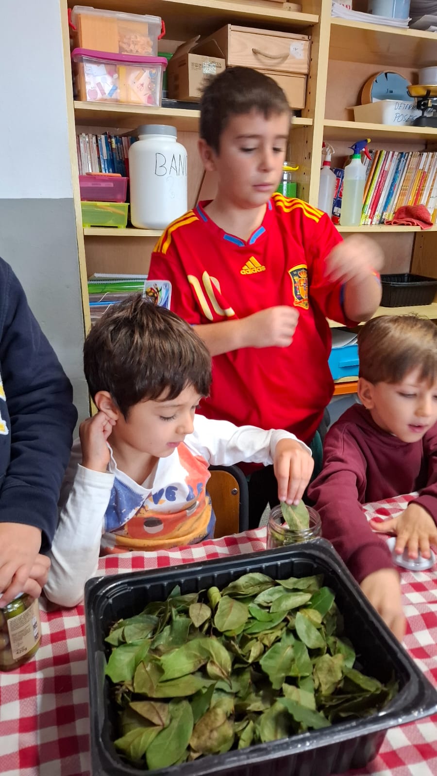 WhatsApp Image 2025-11-28 at 13.00.32 (2)