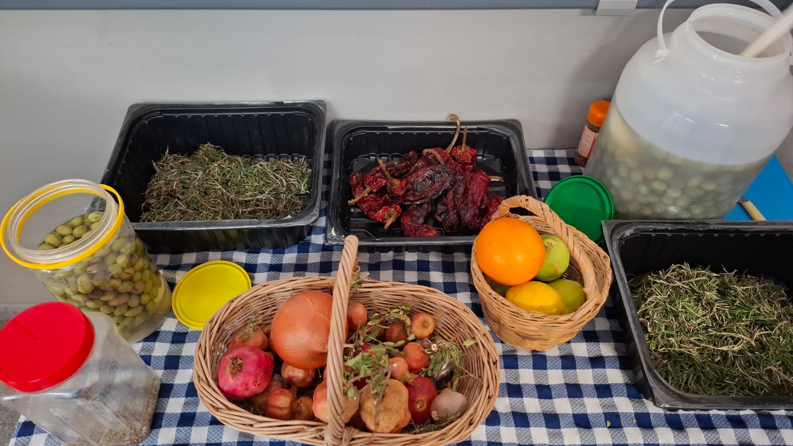 WhatsApp Image 2025-11-28 at 13.00.32 (5)