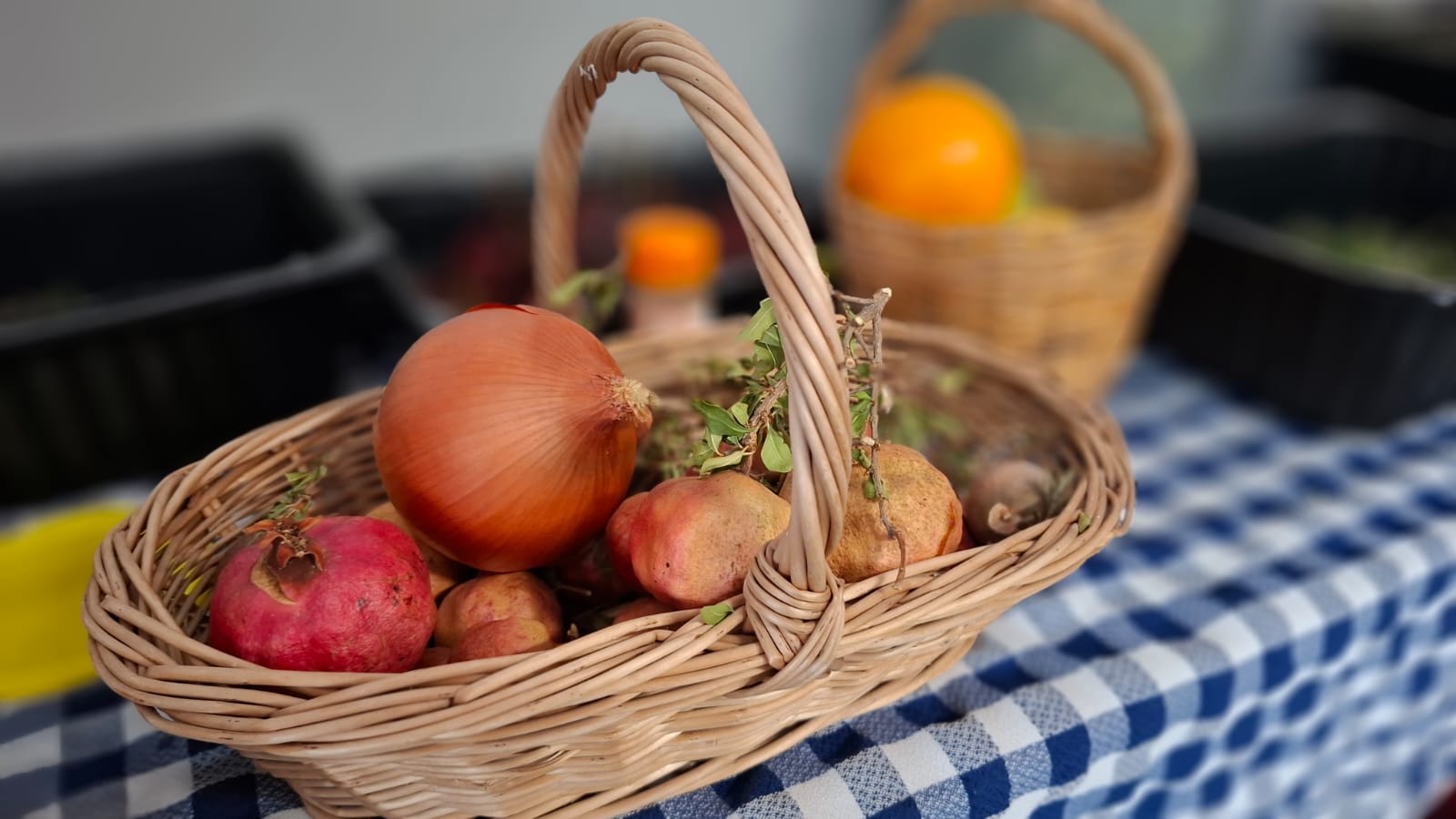 WhatsApp Image 2025-11-28 at 13.00.45 (3)