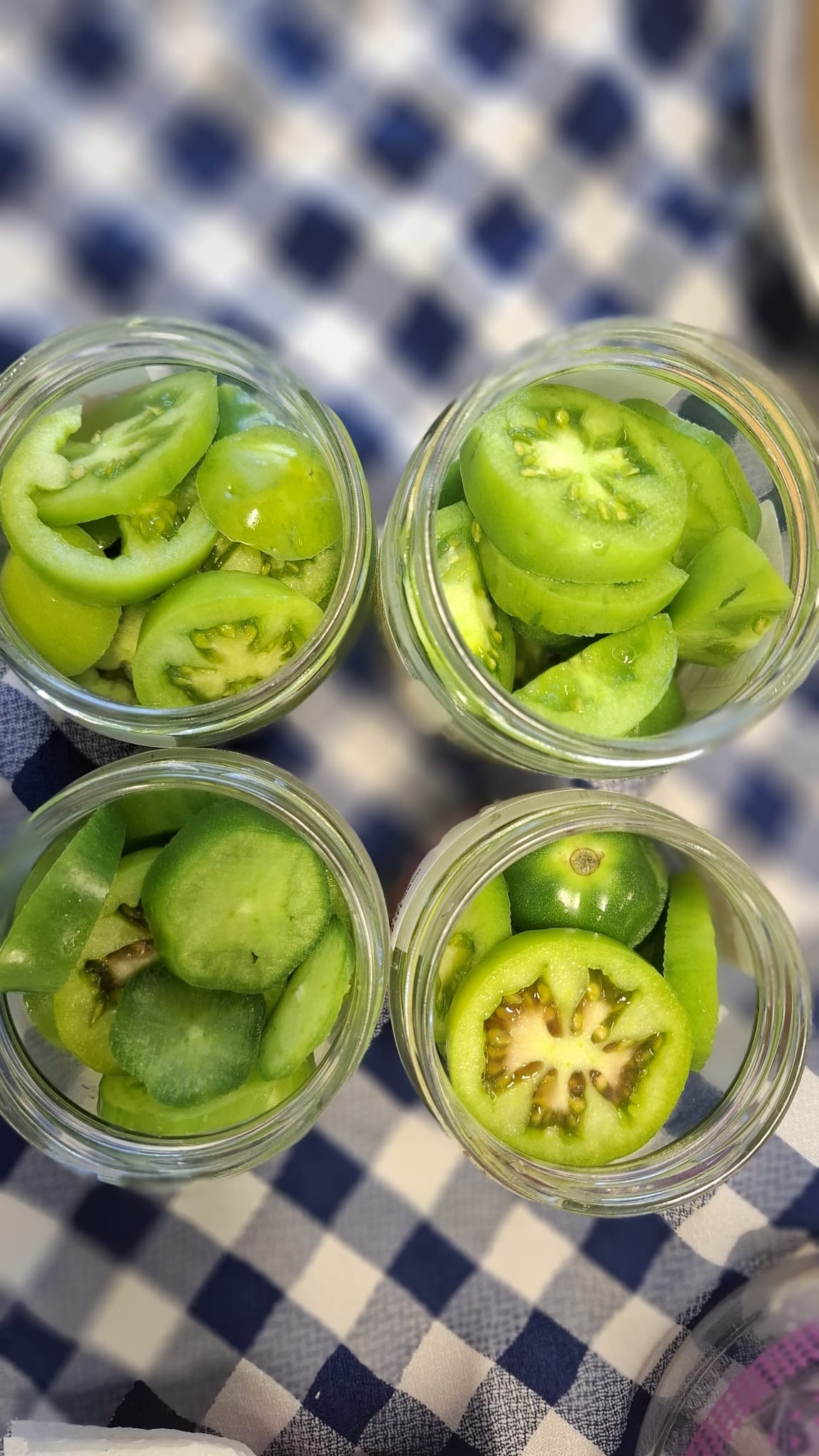 WhatsApp Image 2025-12-12 at 18.48.32