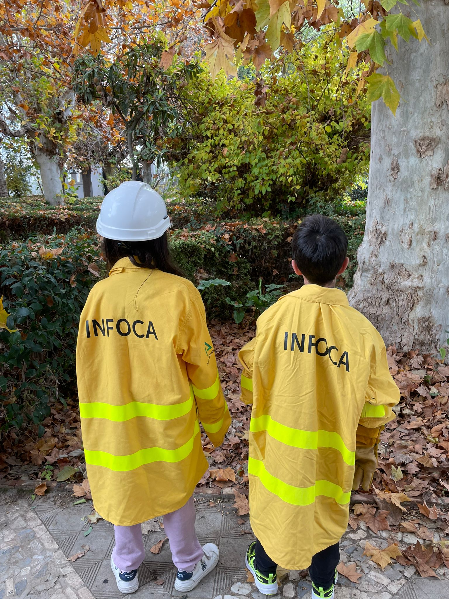 WhatsApp Image 2025-12-14 at 13.13.16 WhatsApp Image 2025-12-14 at 13.13.16