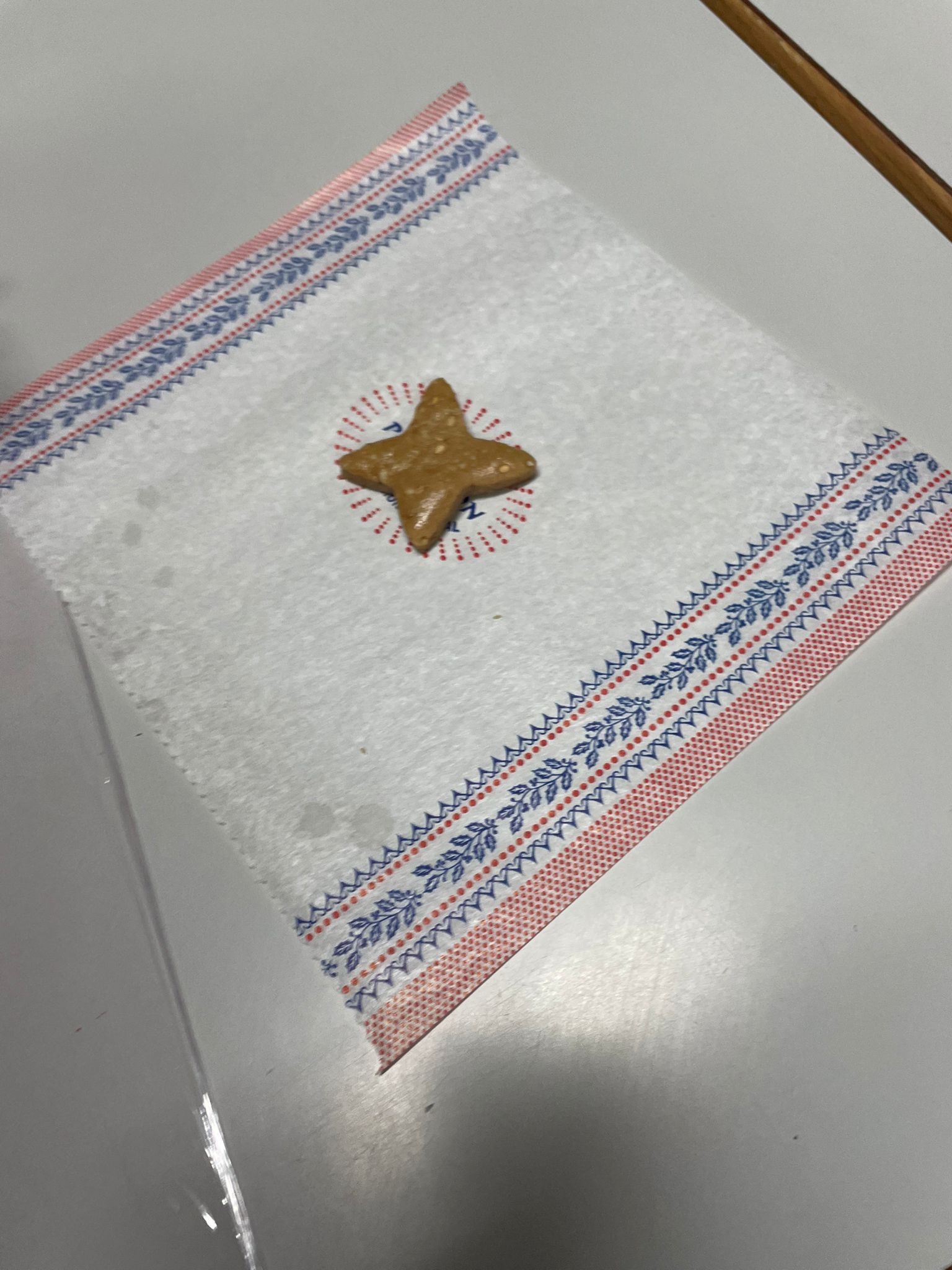 WhatsApp Image 2025-12-19 at 13.06.10 (11)