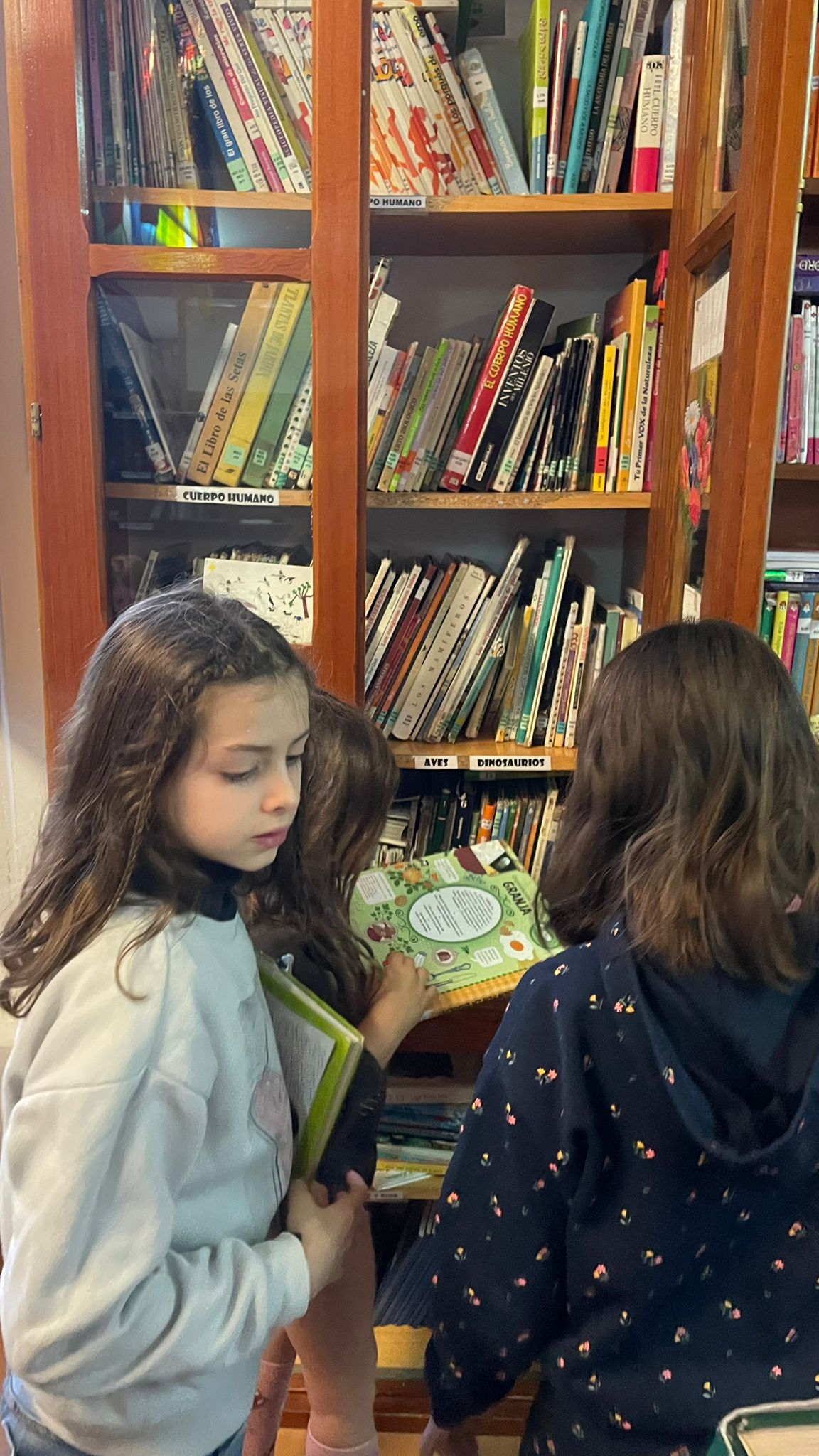 WhatsApp Image 2026-01-18 at 13.04.37 WhatsApp Image 2026-01-18 at 13.04.37