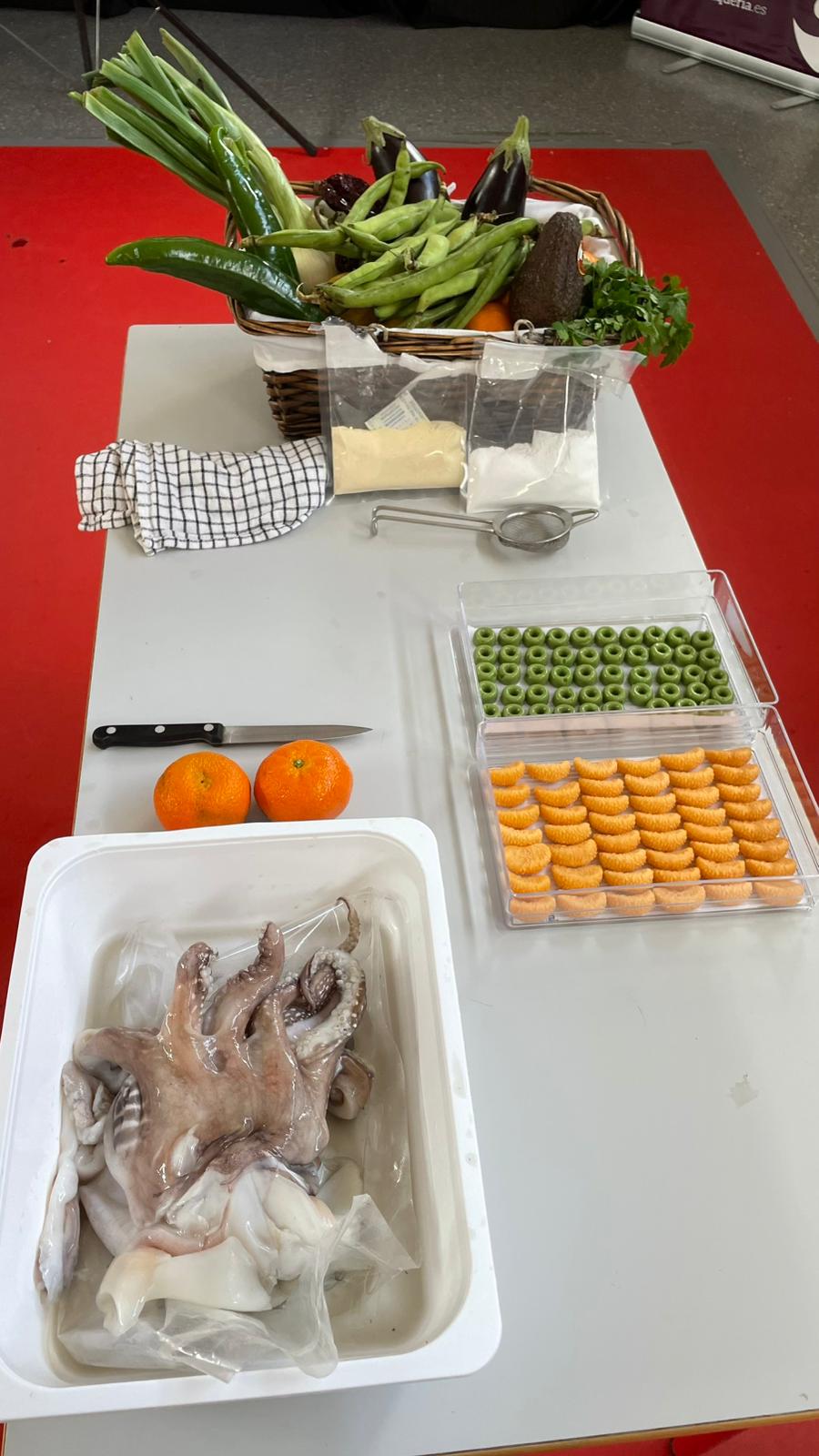 WhatsApp Image 2026-02-09 at 15.56.56 (1)