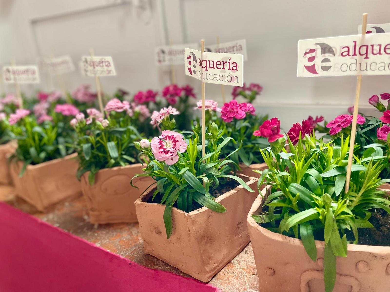 WhatsApp Image 2026-02-09 at 15.56.56 (2)