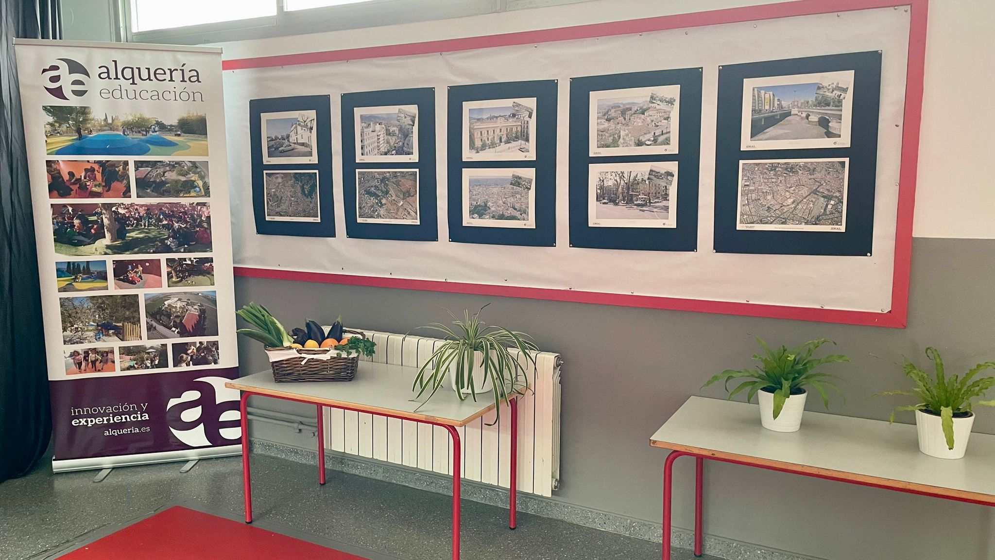 WhatsApp Image 2026-02-09 at 15.56.57 (2)