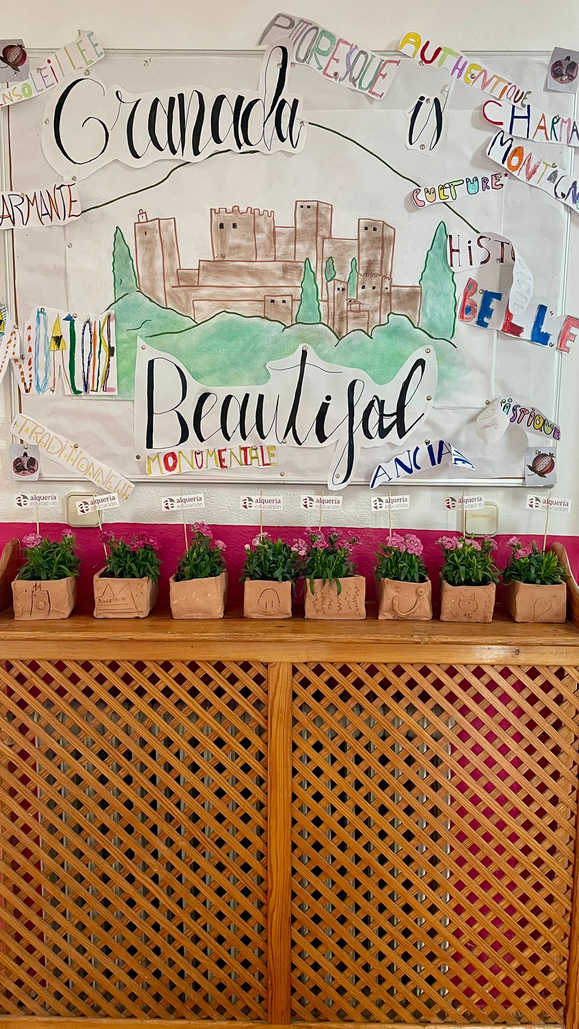 WhatsApp Image 2026-02-09 at 15.56.57 WhatsApp Image 2026-02-09 at 15.56.57