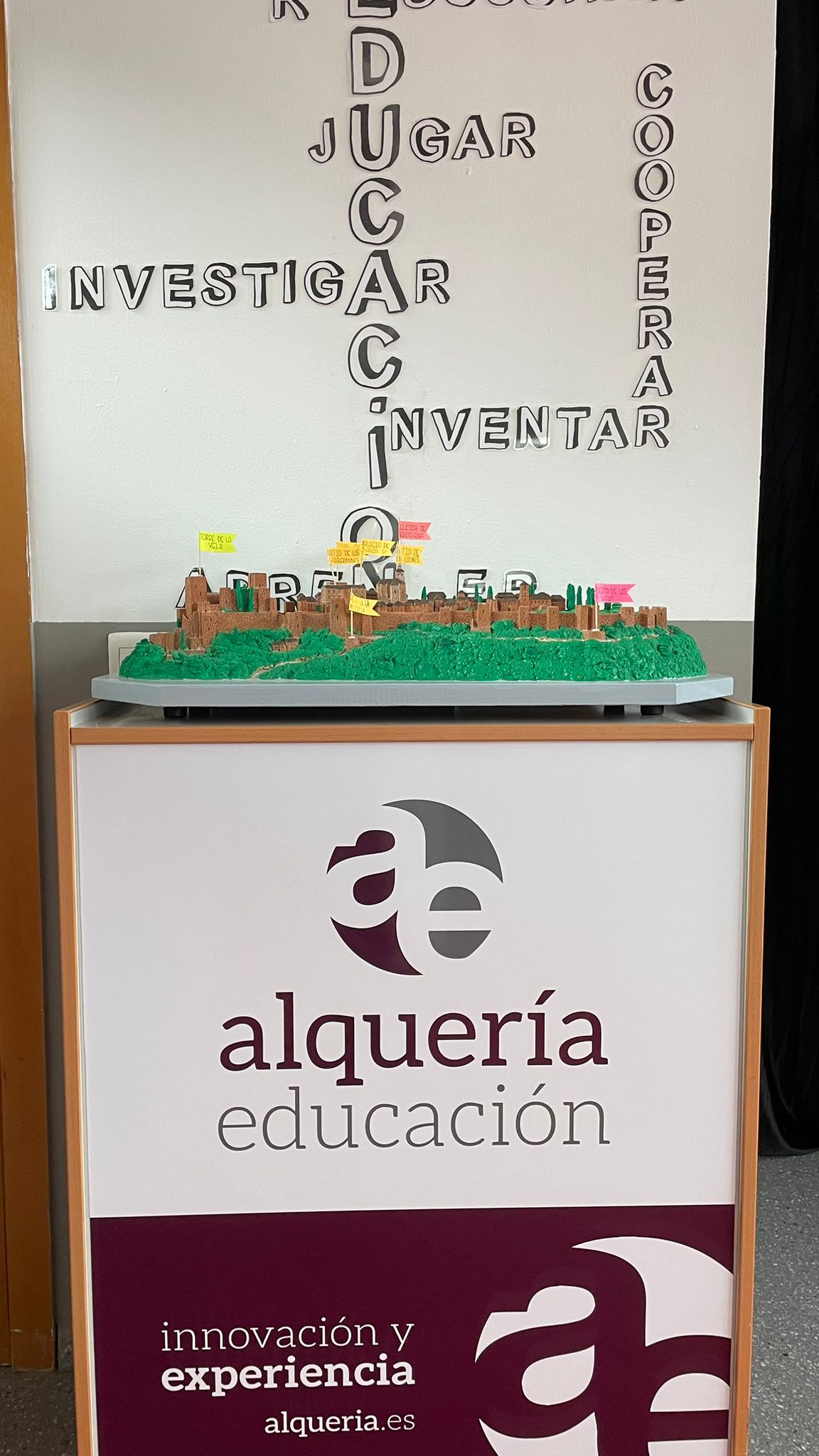 WhatsApp Image 2026-02-09 at 15.56.59