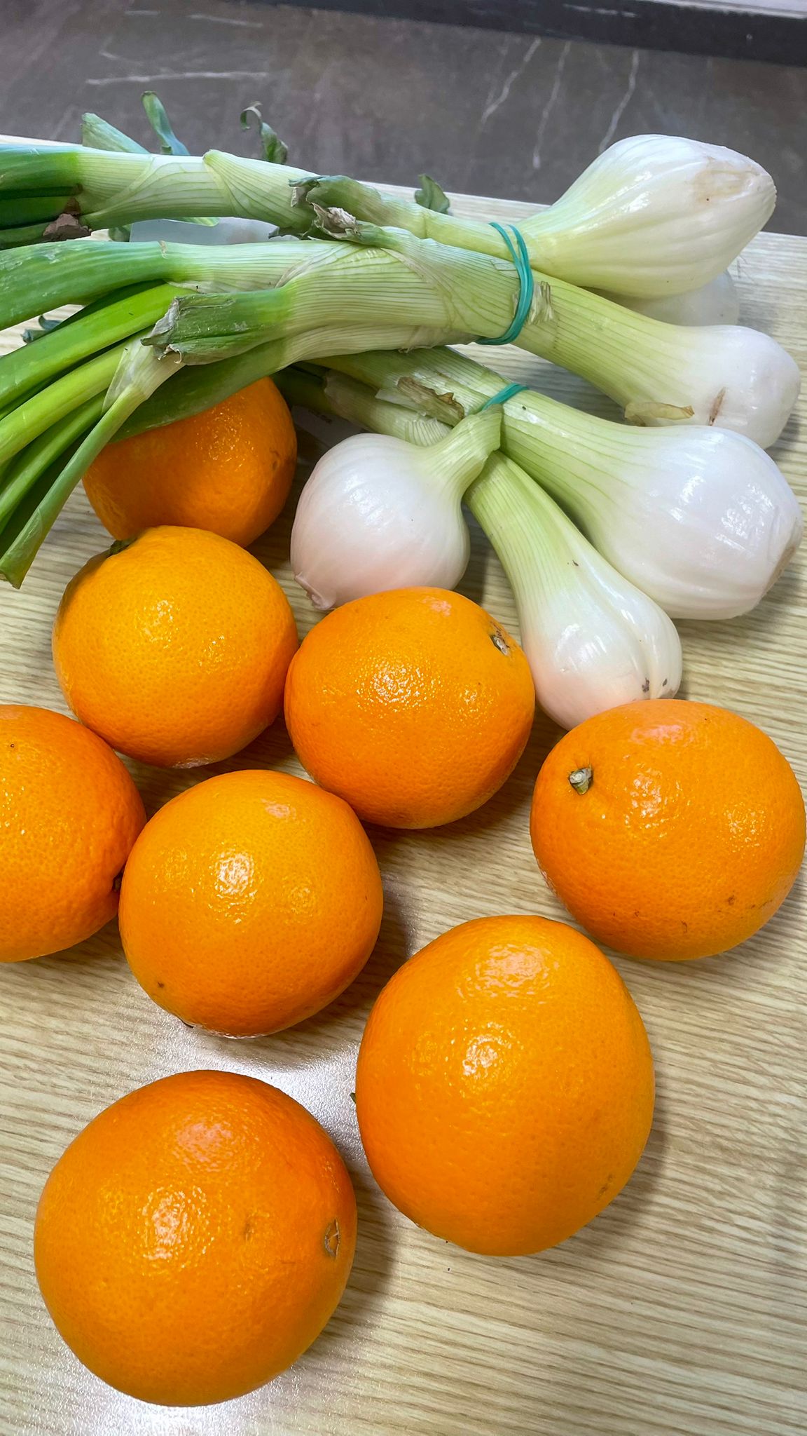 WhatsApp Image 2026-02-13 at 13.17.09 (4)