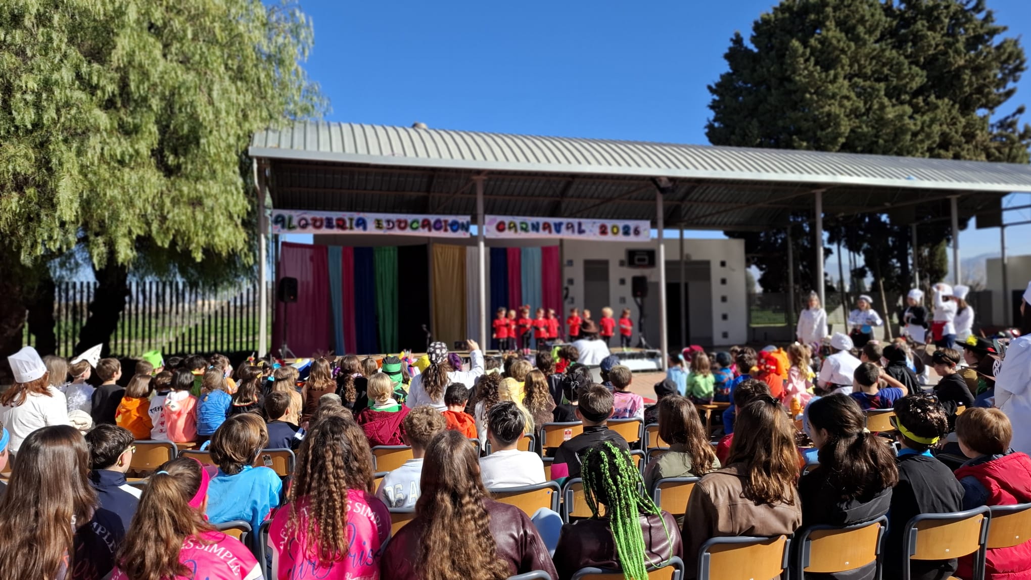 WhatsApp Image 2026-02-20 at 12.15.29 WhatsApp Image 2026-02-20 at 12.15.29