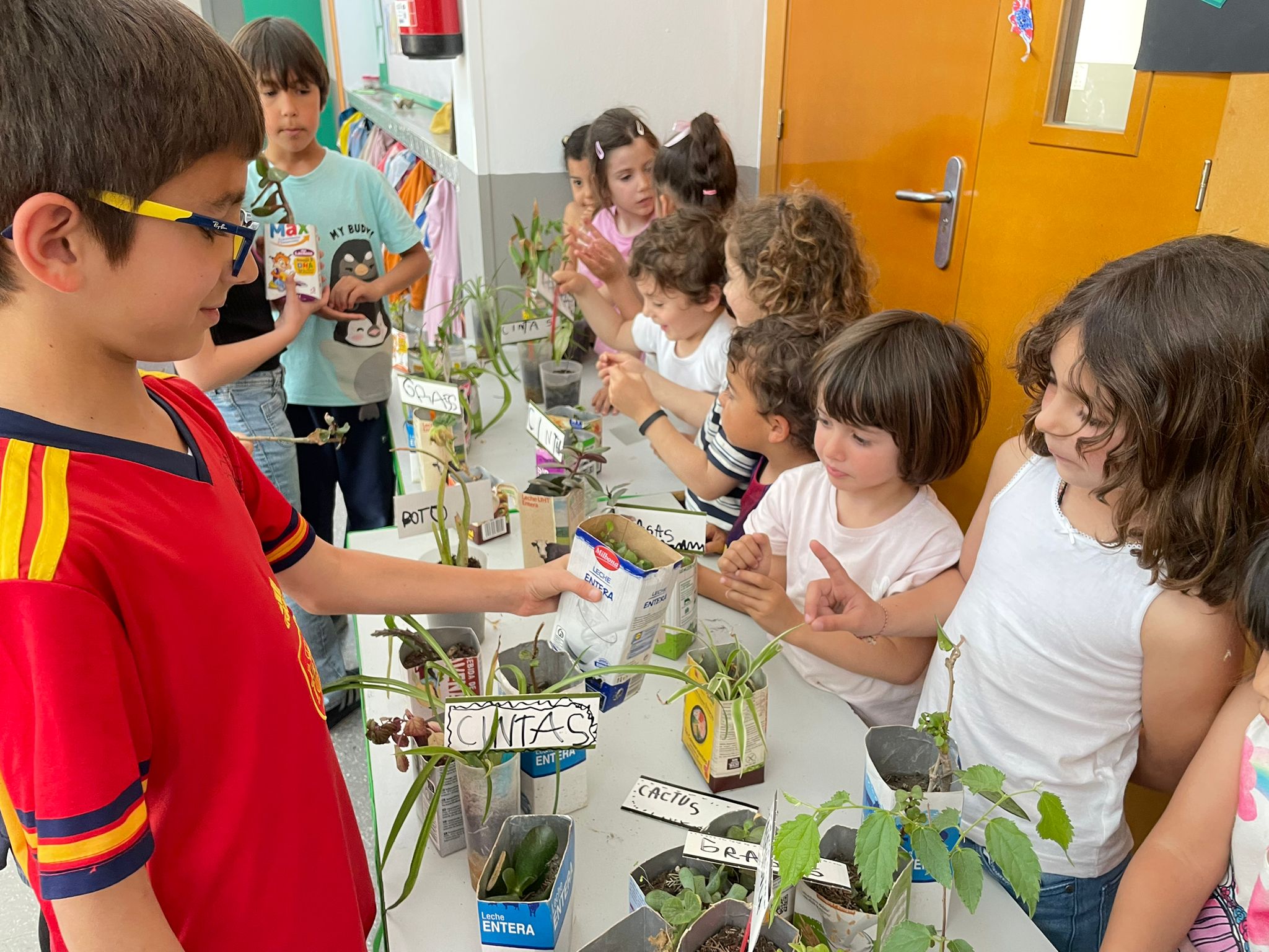 WhatsApp Image 2026-04-21 at 15.19.55 (3) WhatsApp Image 2026-04-21 at 15.19.55 (3)