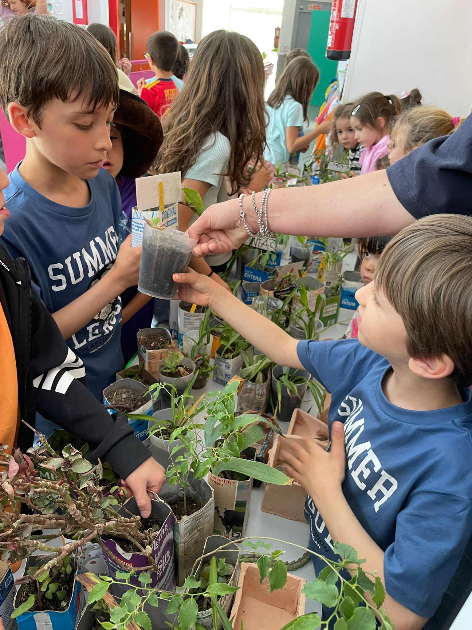 WhatsApp Image 2026-04-21 at 15.19.56 WhatsApp Image 2026-04-21 at 15.19.56