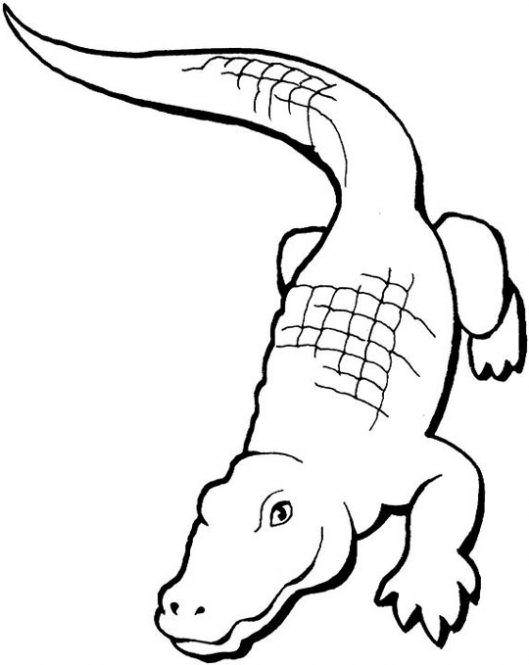 colorear-cocodrilo-0-dibujos-infantiles