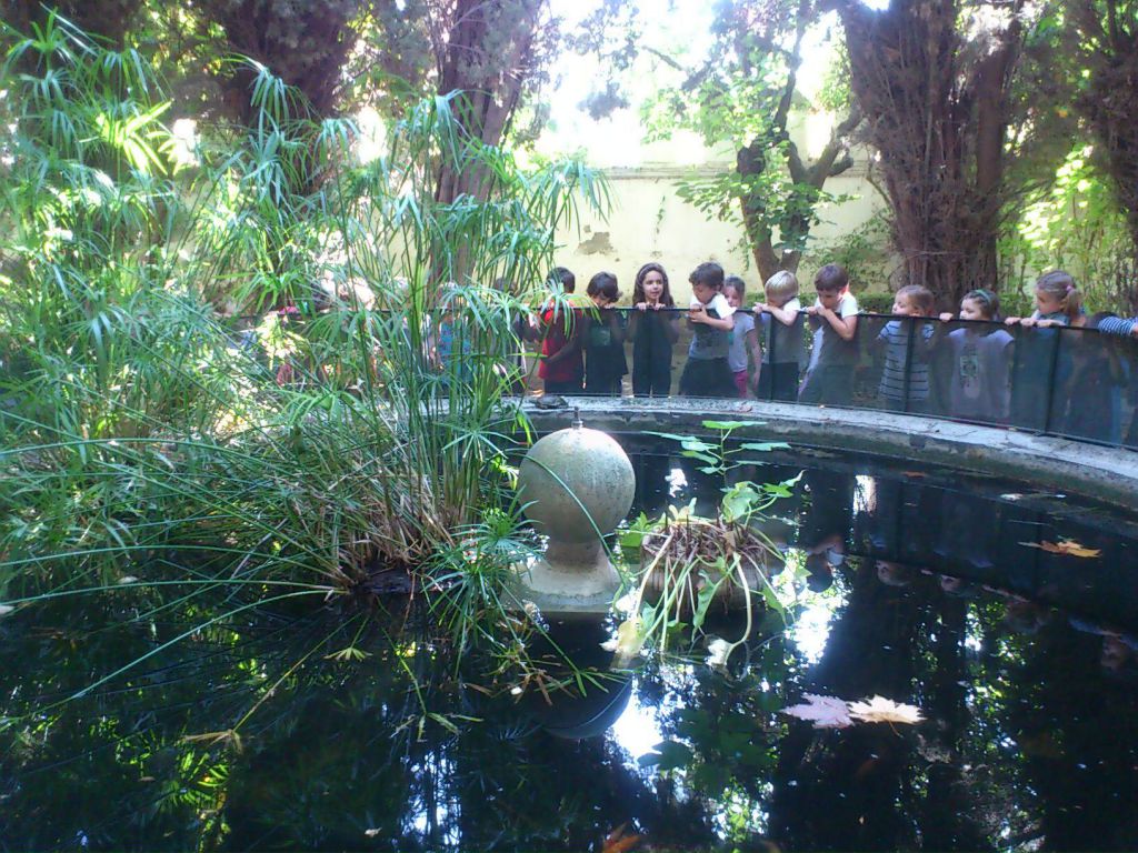 Resultado de imagen de estanque de colegio AlquerÃ­a