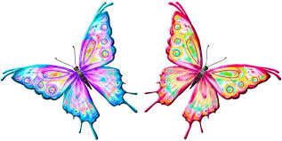 mariposas