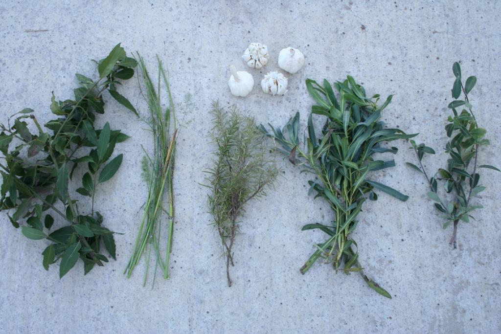 Aceitunas-aliñadas-5