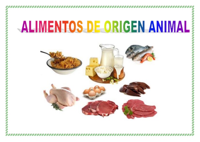 alimentos-de-origen-animal-legumbres-y-cereales-1-638