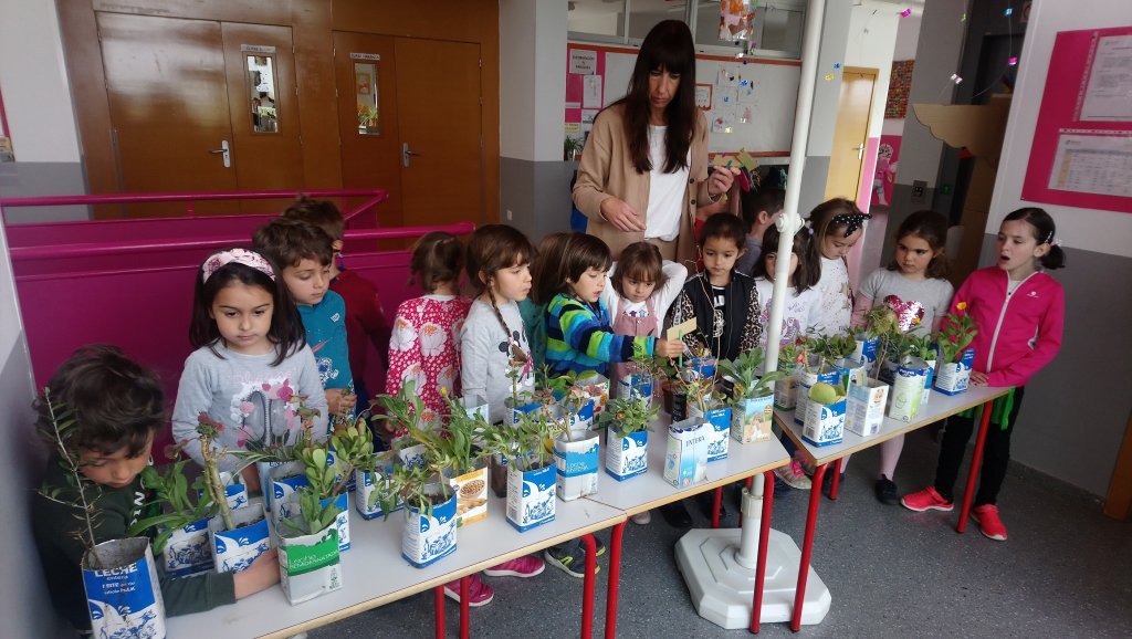 Carteles facilitados por el grupo Rojo