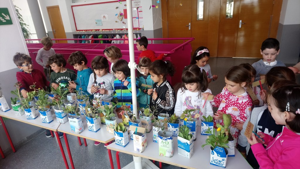 Ponemos el nombre a las plantas