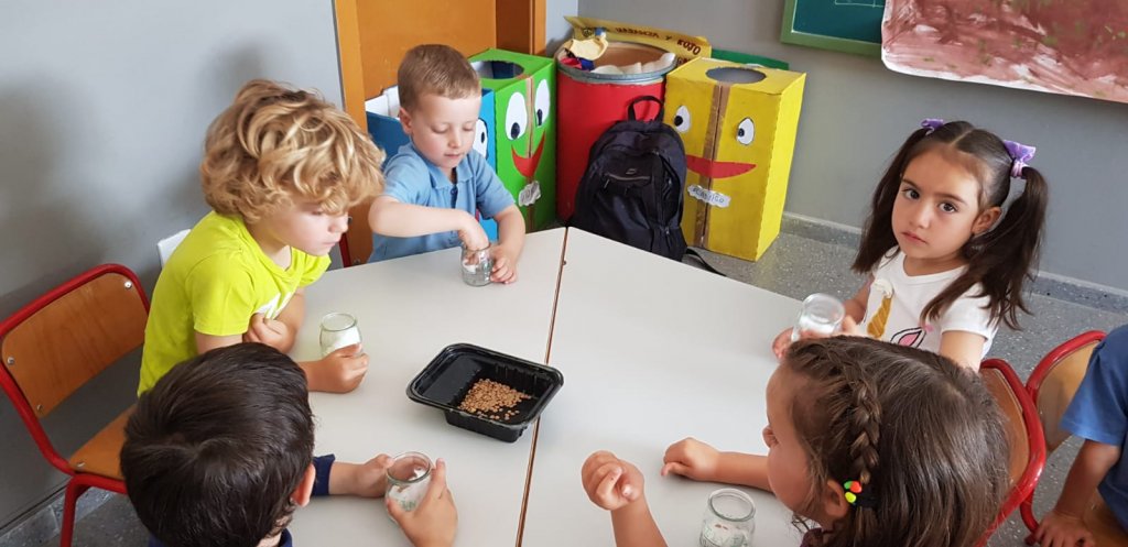 IMG-20190509-WA00221