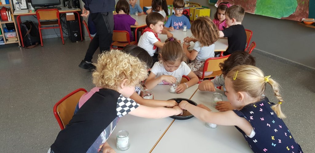 IMG-20190509-WA00231