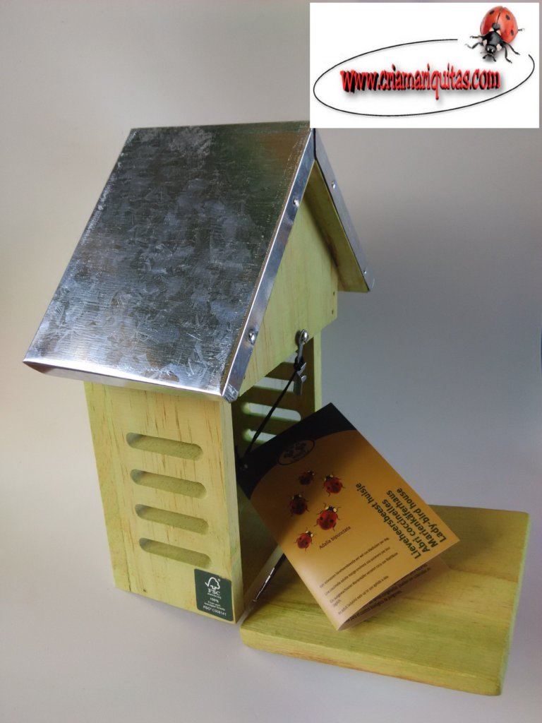 casa-mariquitas-abierta