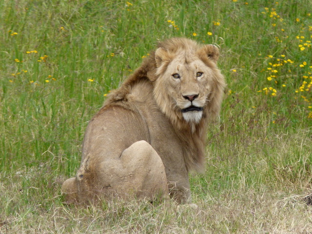 FAM TANZANIA 2011 2Âª PARTE 276