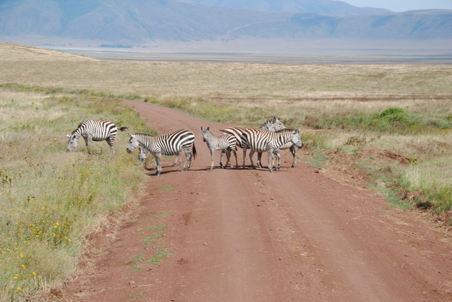 TANZANIA 9 17 MAY 2011 735