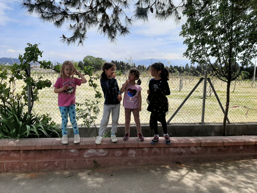 ¡Mis cantantes favoritas!