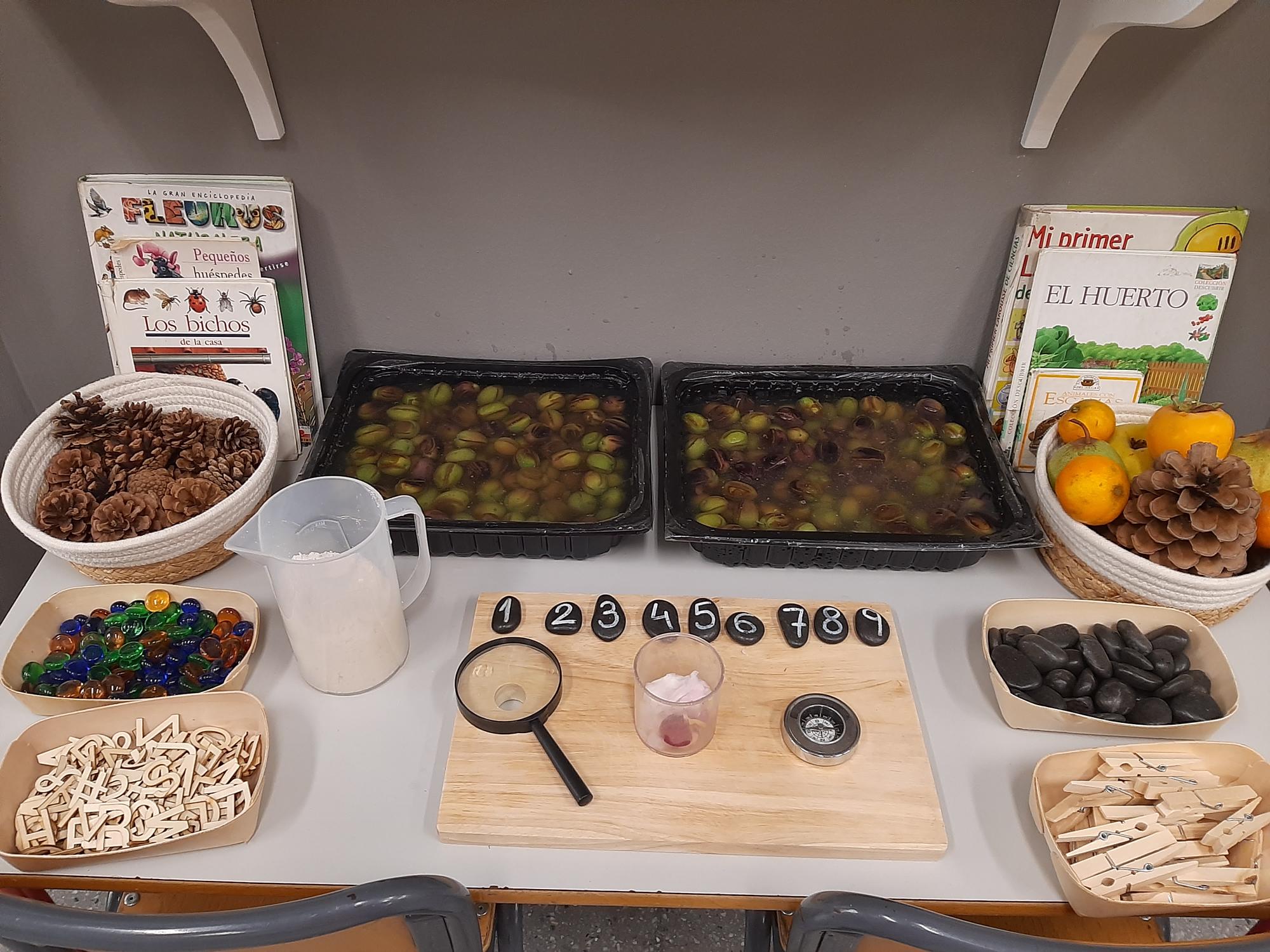 Cambio de agua a las aceitunas