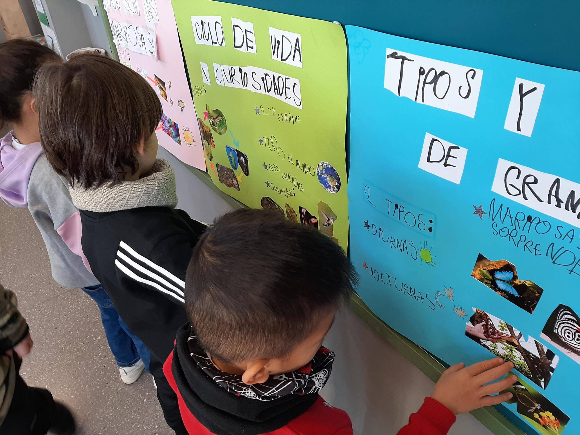 Último vistazo antes de dibujar