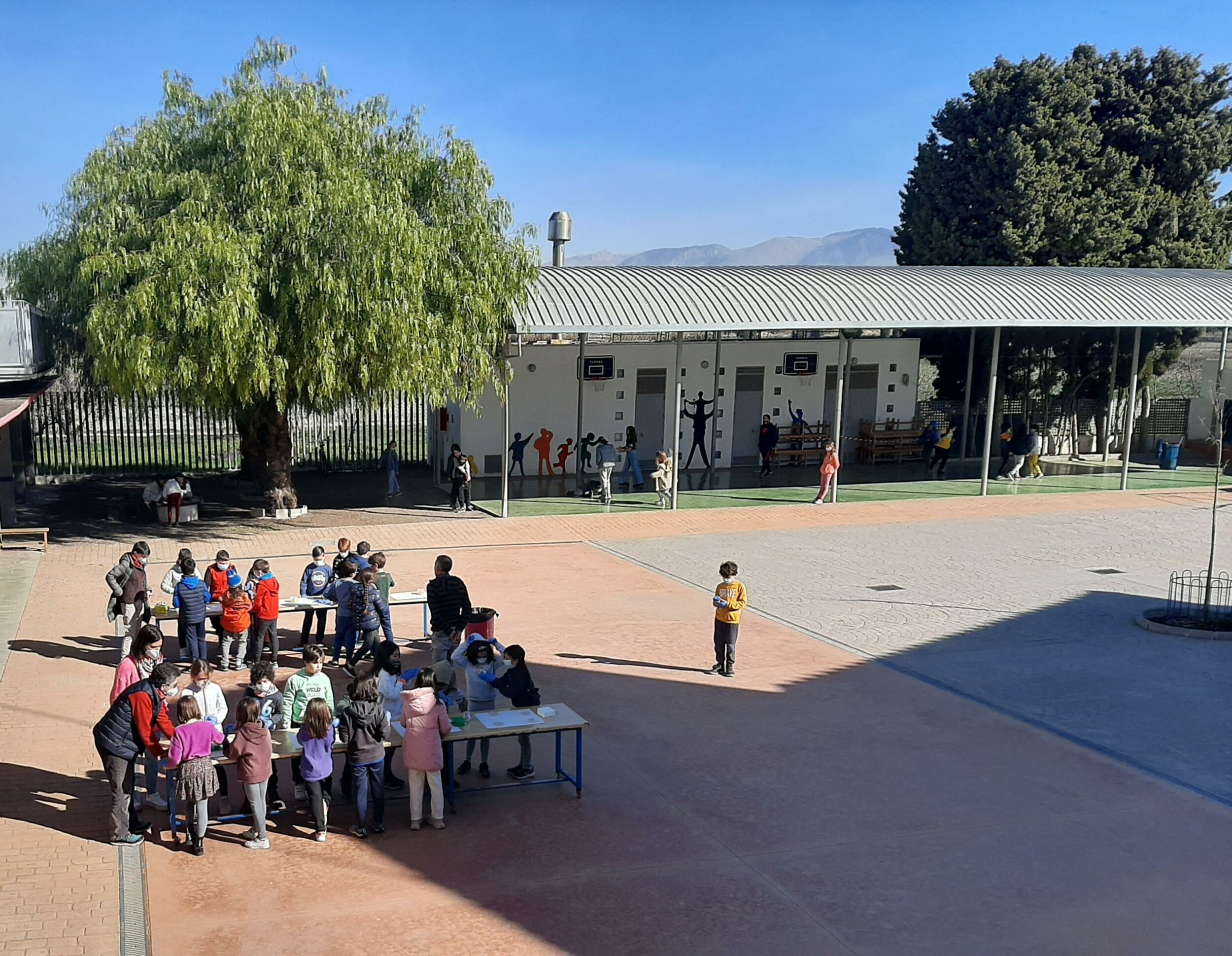 Colaboración segundo ciclo