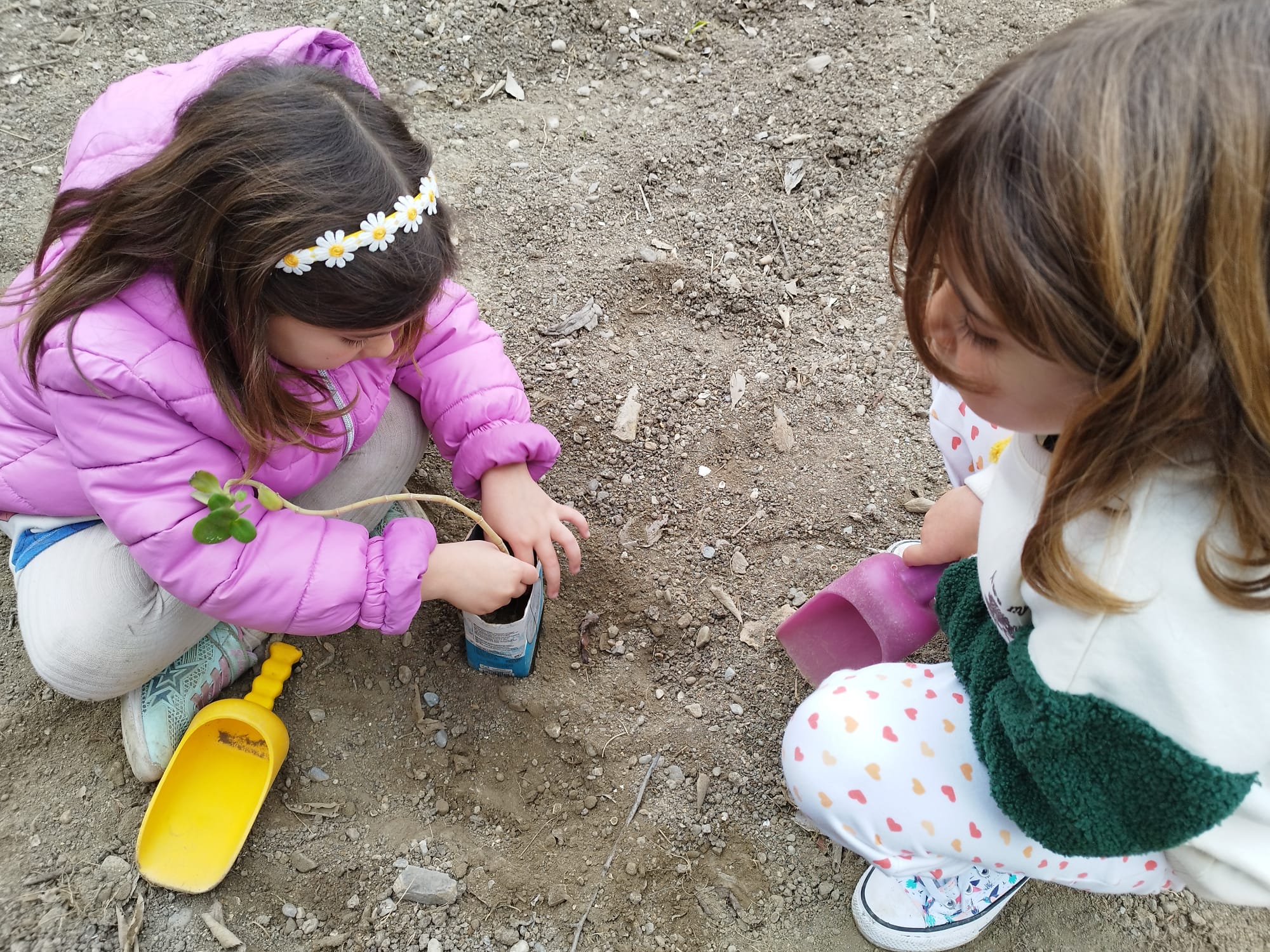 WhatsApp Image 2023-03-10 at 18.21.56 (1)