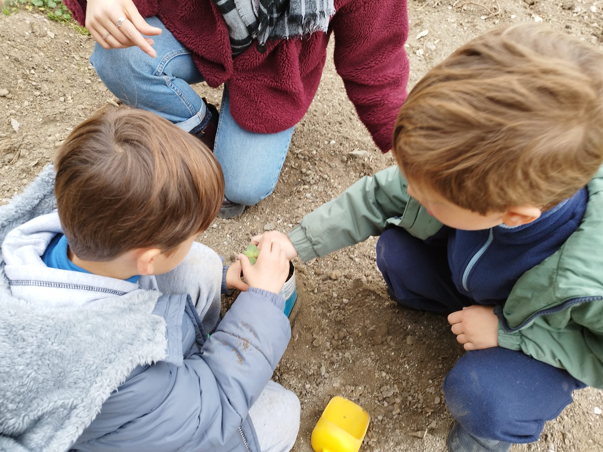 WhatsApp Image 2023-03-10 at 23.15.01