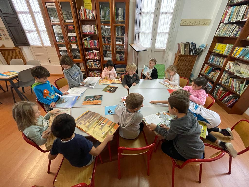 WhatsApp Image 2023-11-02 at 15.53.52