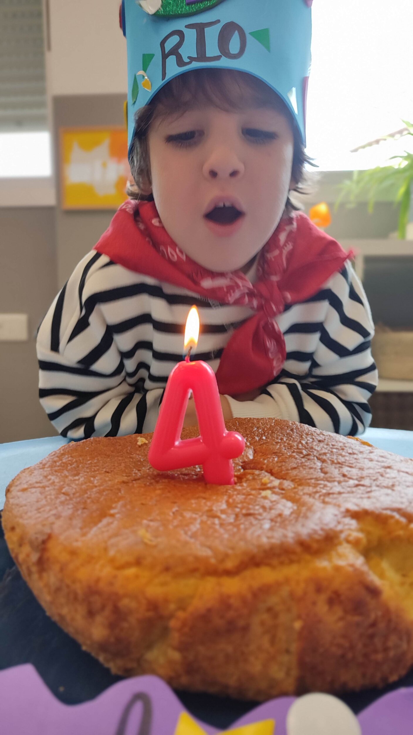 IMG_20231108_114326_1